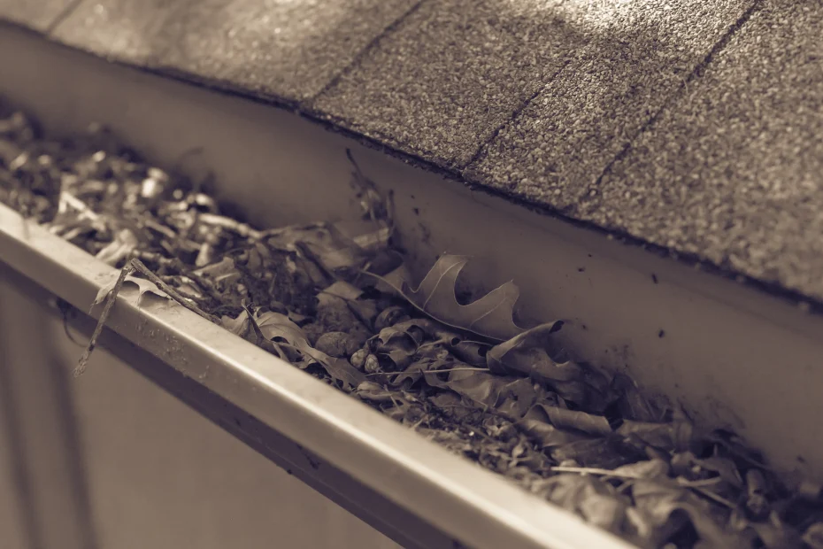 Ellicott City Gutter Cleaning