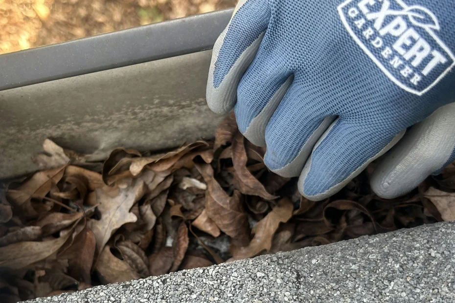 Ellicott City Gutter Cleaning