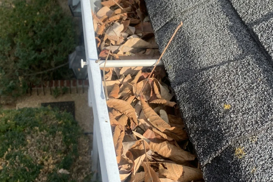 Ellicott City Gutter Cleaning