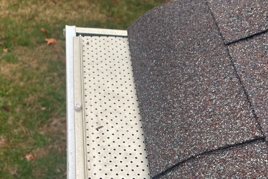 Ellicott City Gutter Cleaning