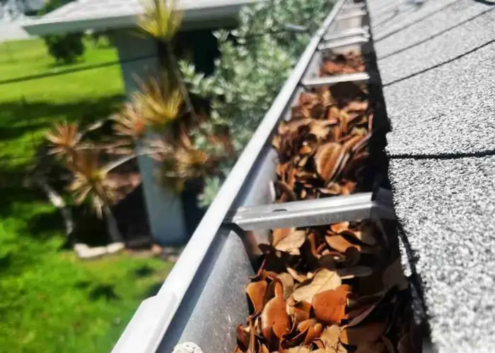 Ellicott City gutter cleaning home page
